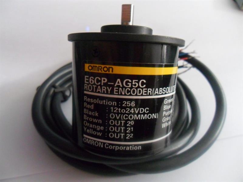 C5F21999.jpg